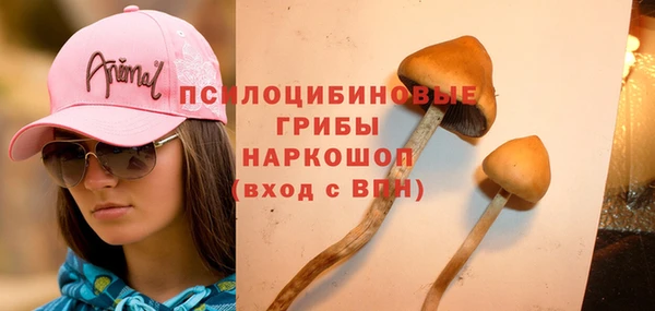 синтетический гашиш Алексеевка