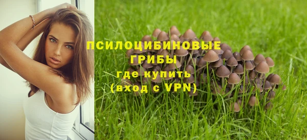 ECSTASY Алексин